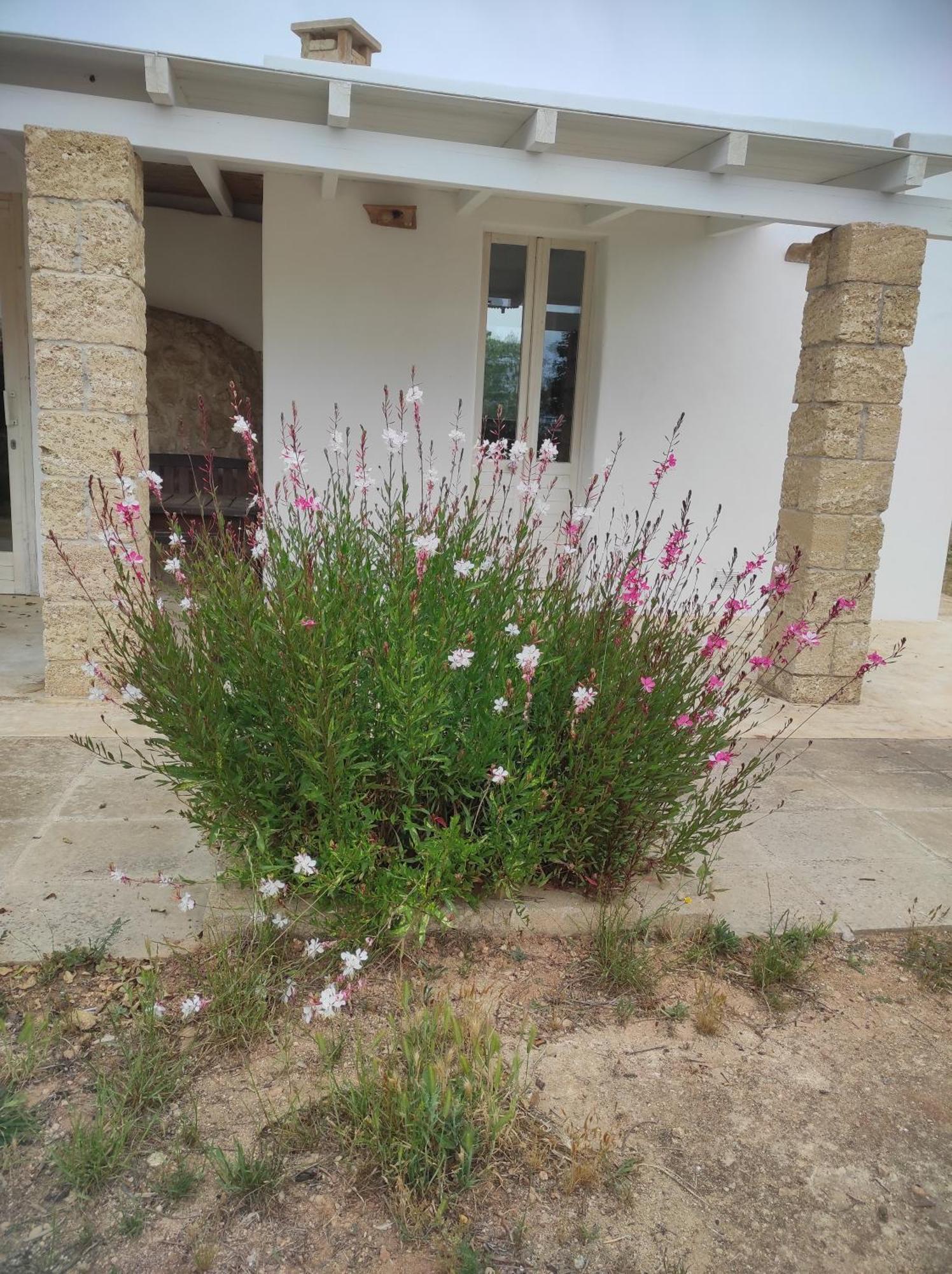 Appartamento Trullo Contrada Specchi Racale Esterno foto