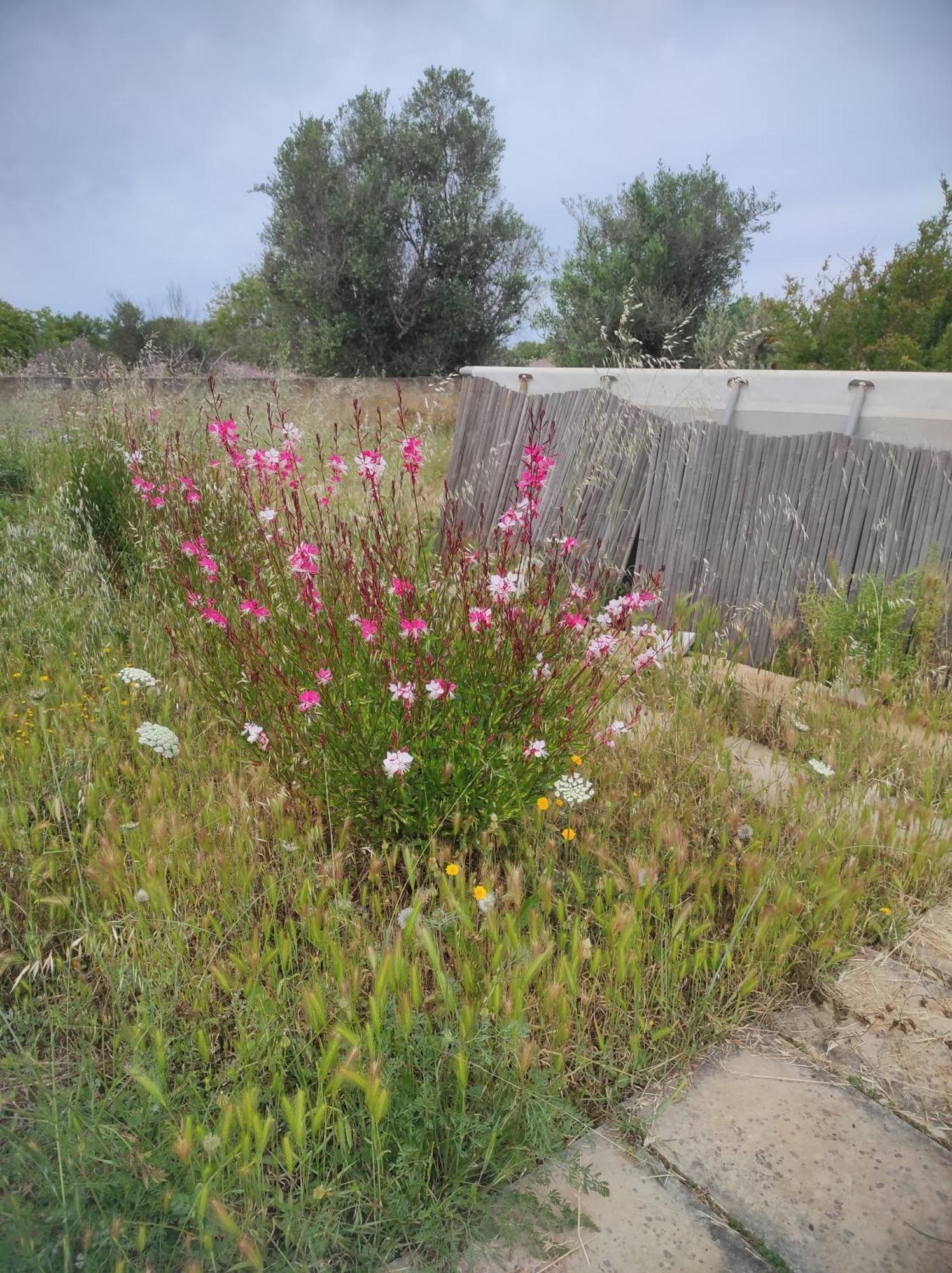Appartamento Trullo Contrada Specchi Racale Esterno foto